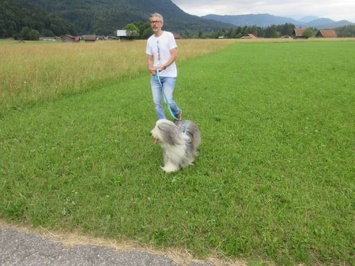 Lös Herrchen, nicht rumtrödeln
