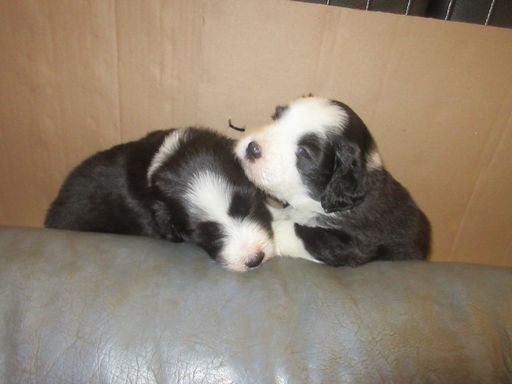 Die Jungs: links Michi , Rechts Tommy